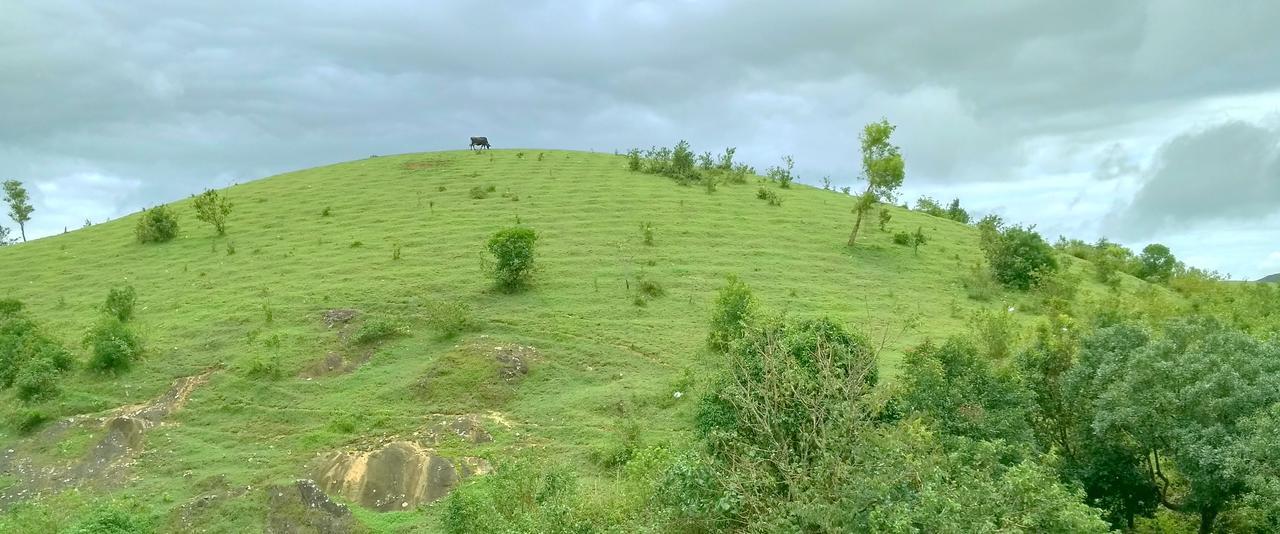 فندق Vagamon Clouds المظهر الخارجي الصورة